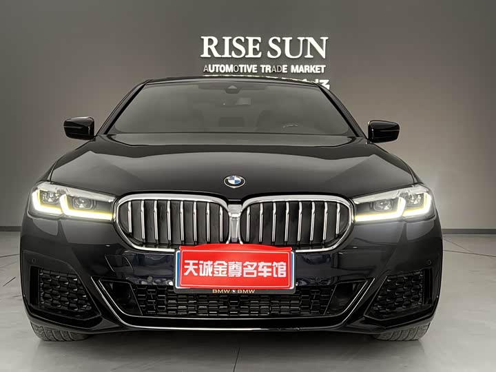 Фото 2 - BMW 5 Series Hybrid