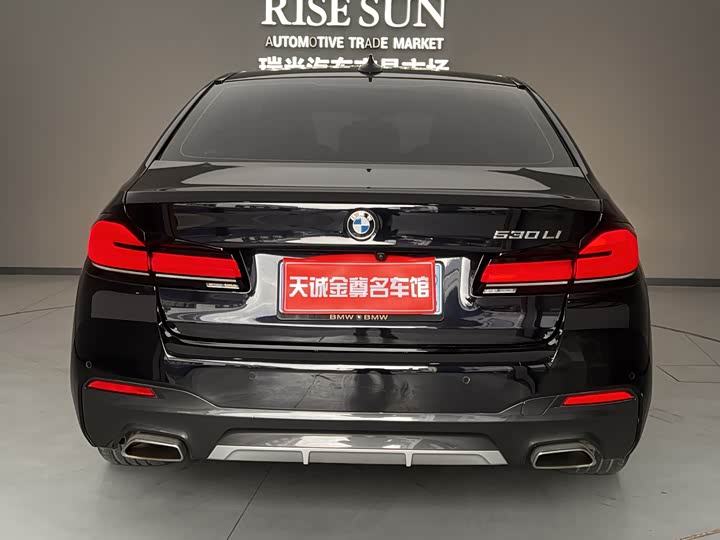 Фото 9 - BMW 5 Series Hybrid