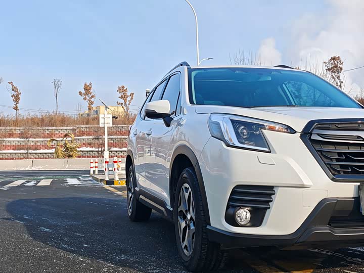 Фото 7 - Subaru Forester