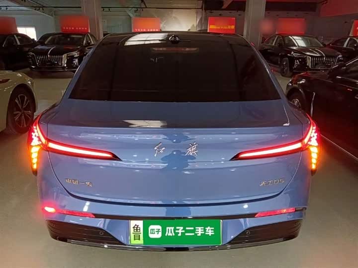 Фото 6 - Hongqi EH5 (Tiangong 05)