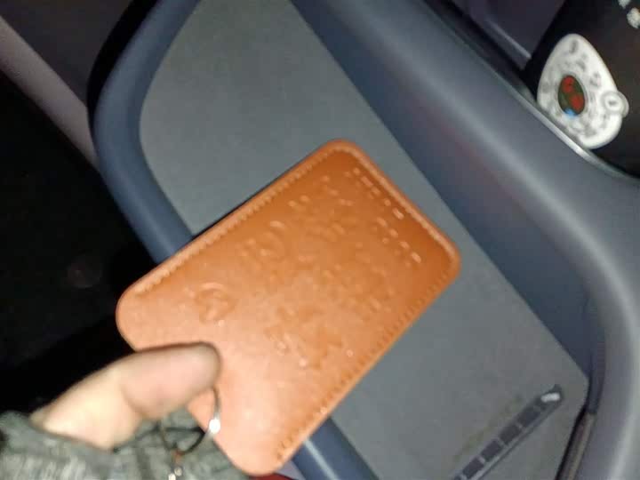 Фото 9 - Hongqi EH5 (Tiangong 05)