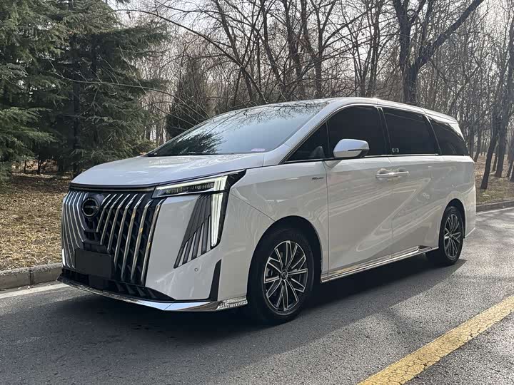 Фото 1 - GAC Trumpchi M8