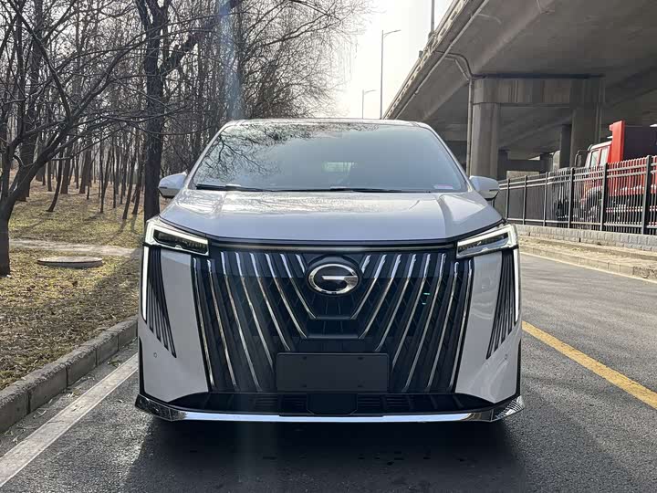 Фото 2 - GAC Trumpchi M8