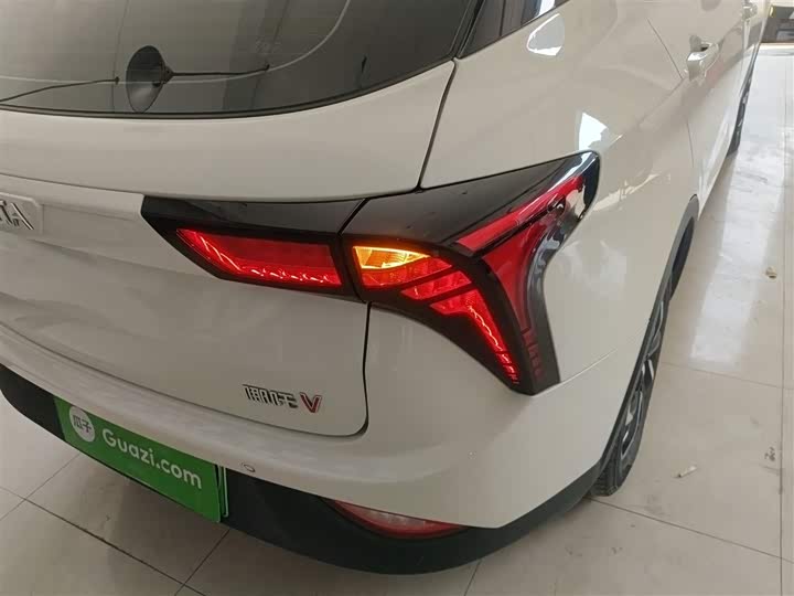 Фото 8 - Hozon V