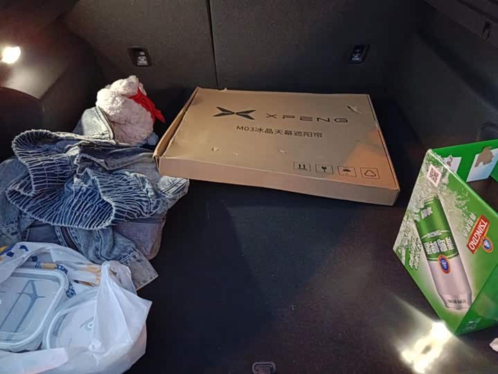 Фото 4 - XPeng Mona M03