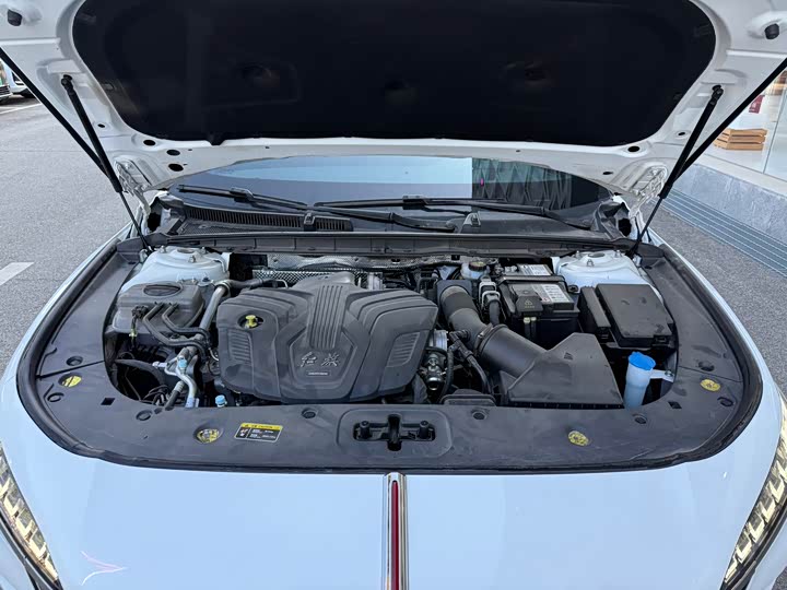 Фото 4 - Hongqi H6