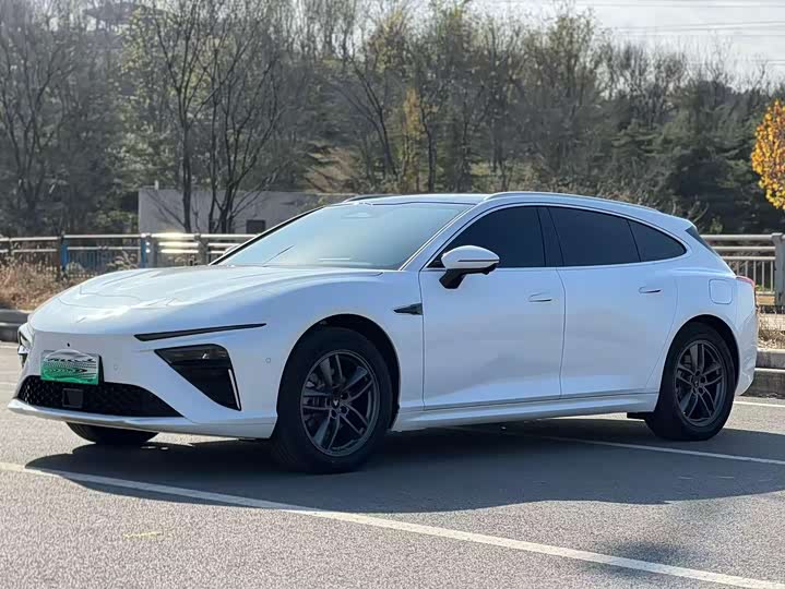 Фото 1 - Hozon S Hunting