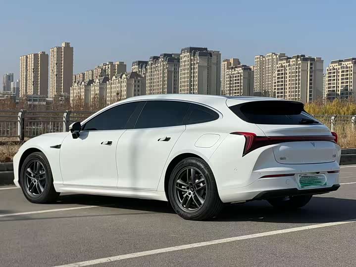 Фото 7 - Hozon S Hunting