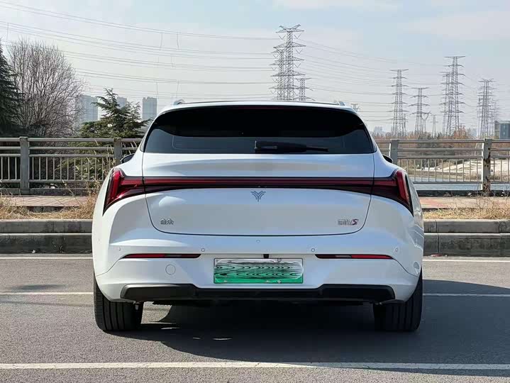 Фото 8 - Hozon S Hunting