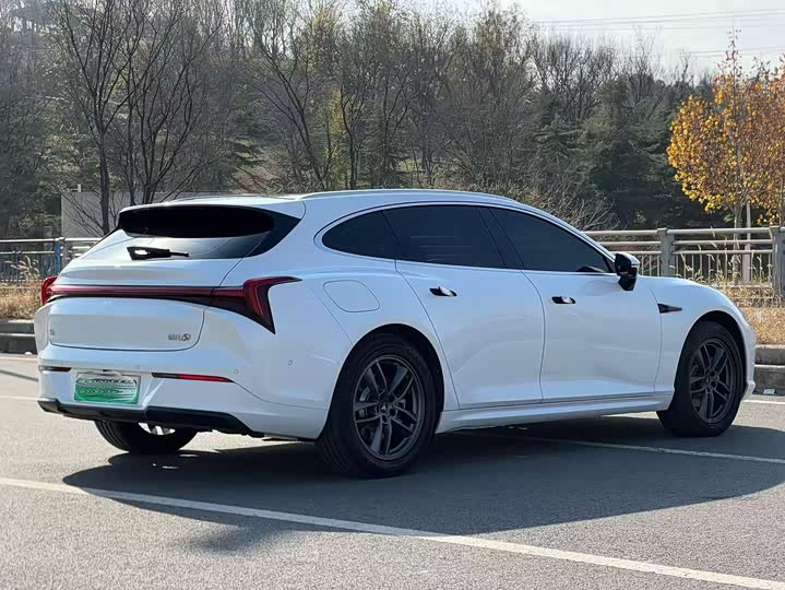 Фото 9 - Hozon S Hunting