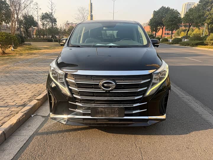 Фото 2 - GAC Trumpchi M8
