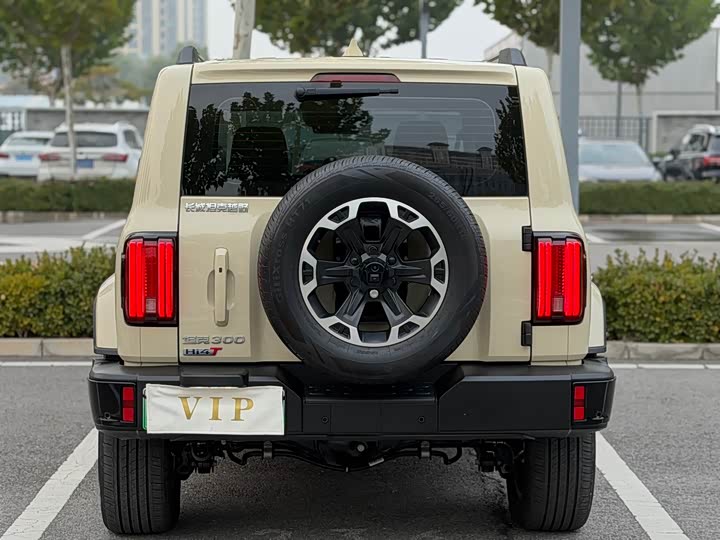 Фото 4 - Tank 300 Hybrid