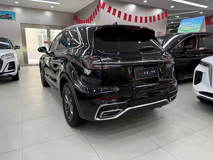 Фото 6 - Hongqi HS5