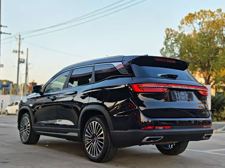 Фото 7 - Jetour Shanhai L9