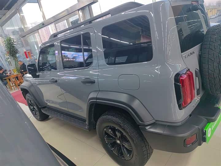 Фото 5 - Tank 300