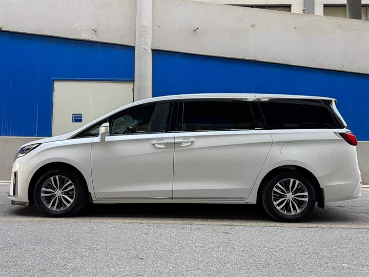 Фото 3 - Buick GL8 ES