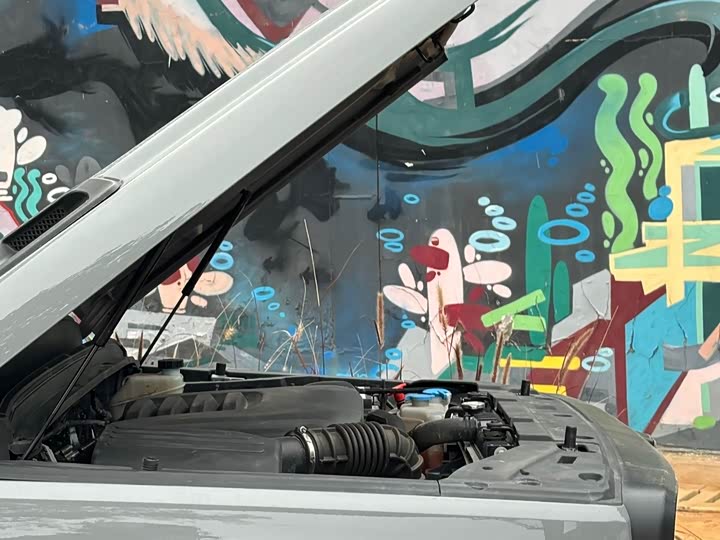 Фото 4 - Tank 300