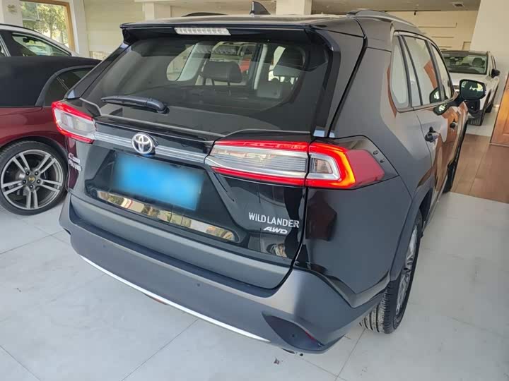 Фото 7 - Toyota Wildlander