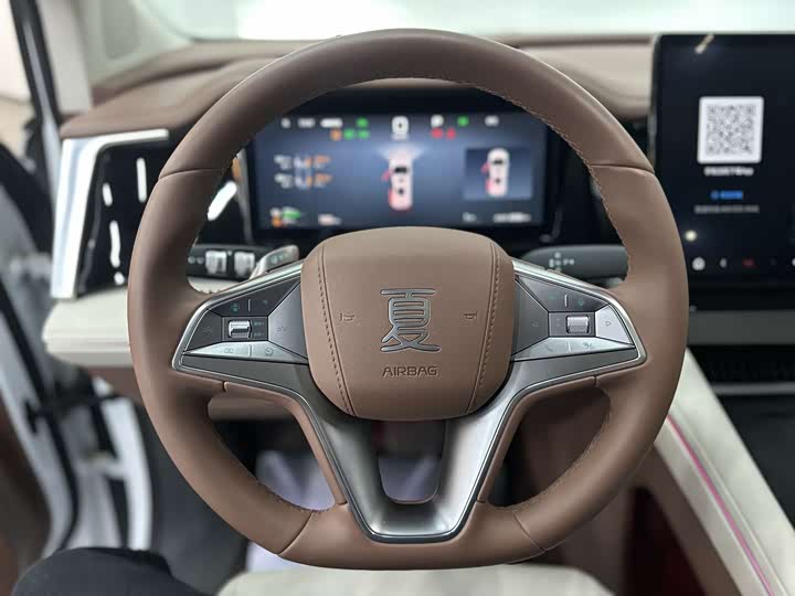 Фото 8 - BYD Xia