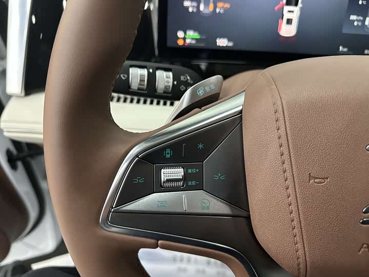 Фото 9 - BYD Xia