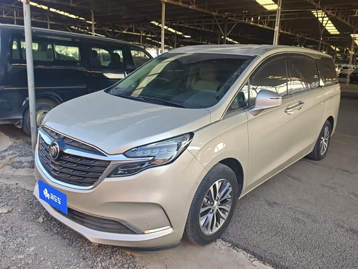 Фото 1 - Buick GL8 ES