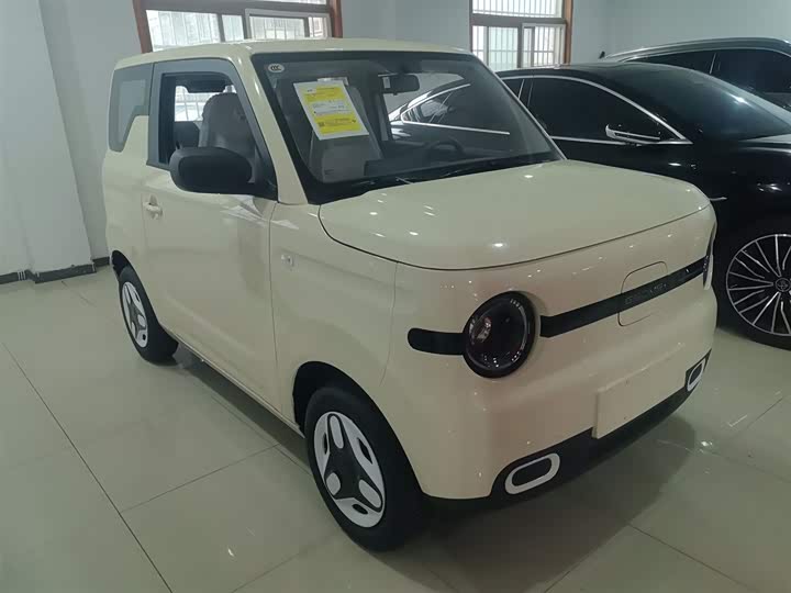 Фото 4 - Geely Galaxy Panda Mini