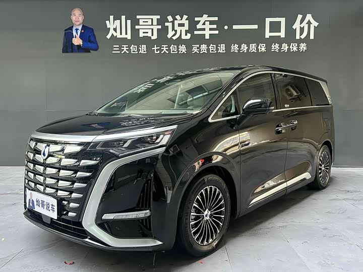 Фото 1 - Denza D9