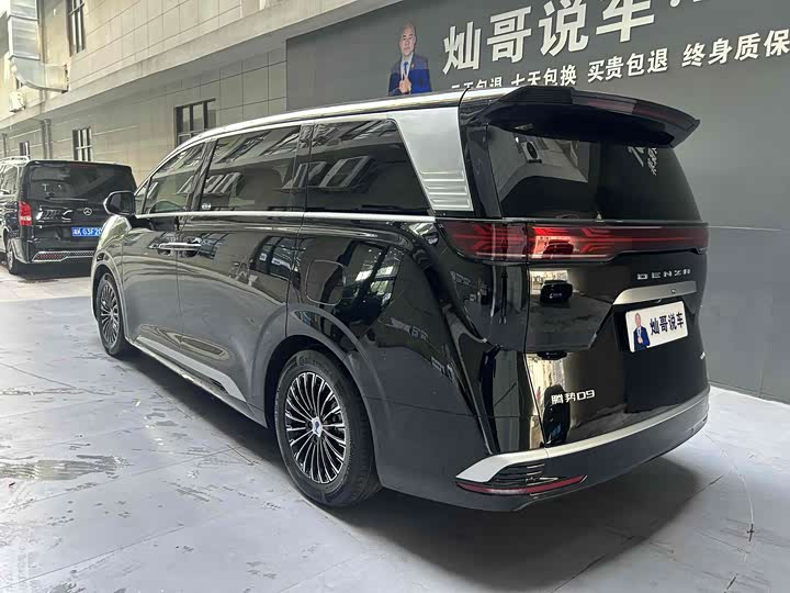 Фото 6 - Denza D9