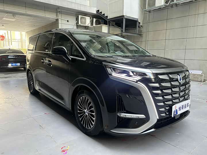 Фото 8 - Denza D9