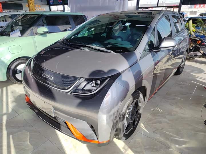 Фото 2 - BYD Dolphin