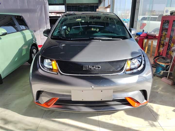 Фото 3 - BYD Dolphin