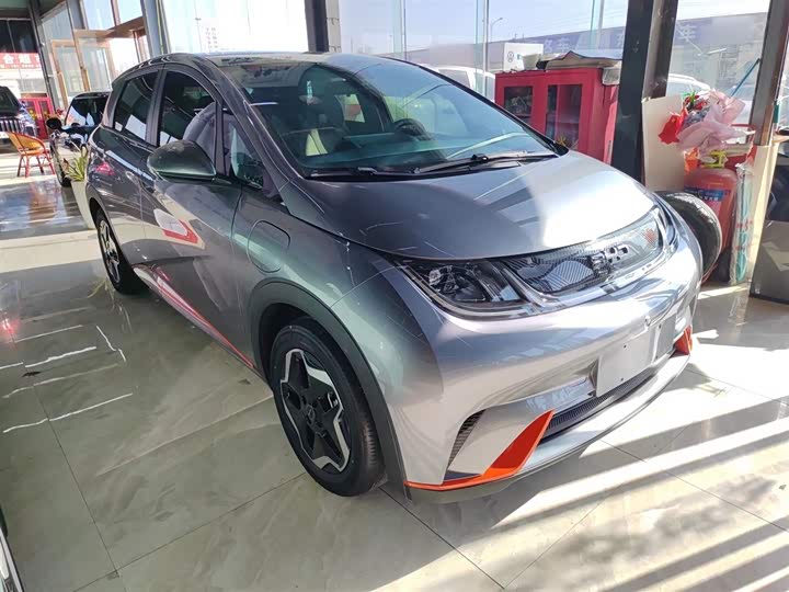 Фото 4 - BYD Dolphin