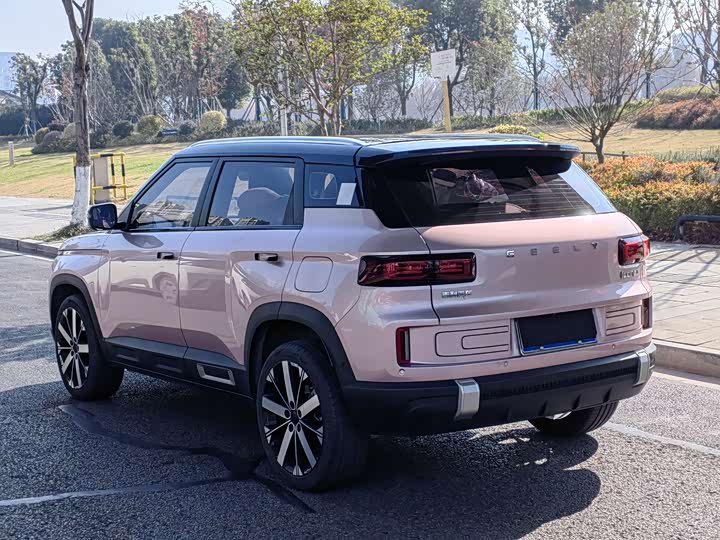 Фото 6 - Geely Icon