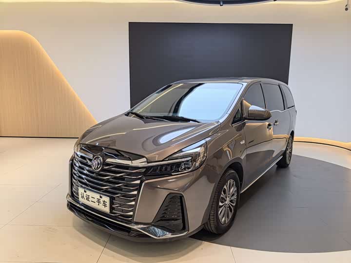 Фото 1 - Buick GL8 ES