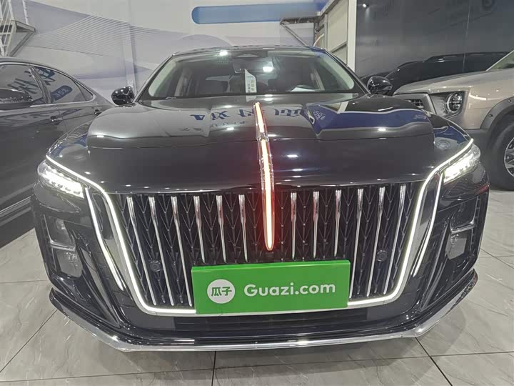 Фото 3 - Hongqi H5