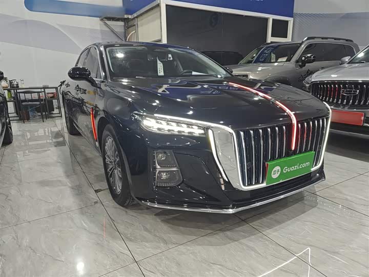 Фото 4 - Hongqi H5