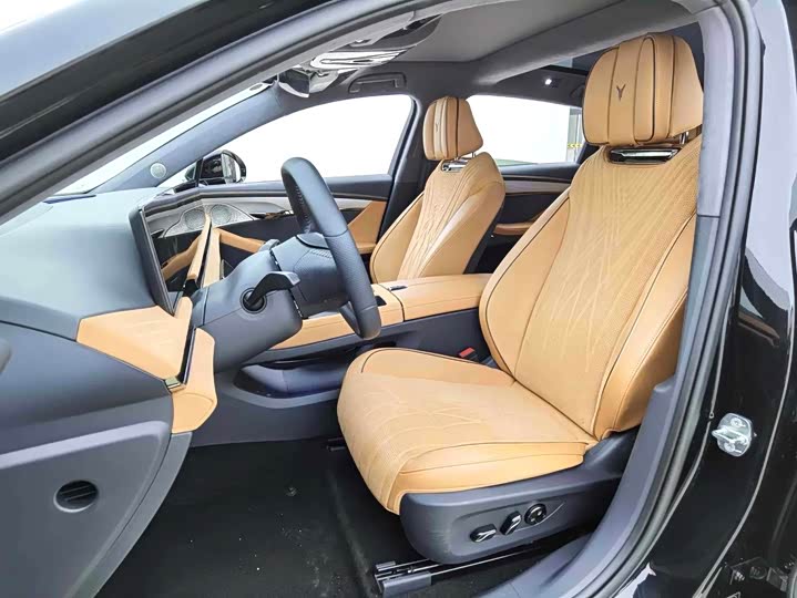 Фото 9 - Voyah Passion