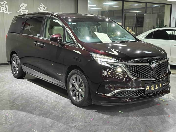 Фото 3 - Buick GL8 ES