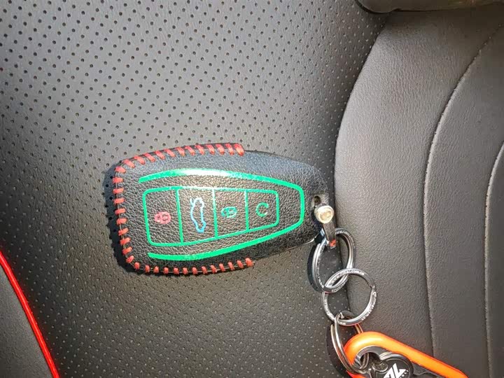 Фото 9 - Geely Binrui