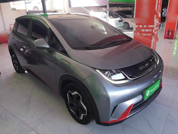 Фото 4 - BYD Dolphin