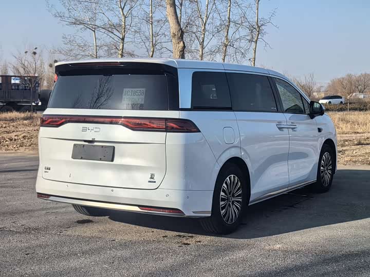 Фото 4 - BYD Xia