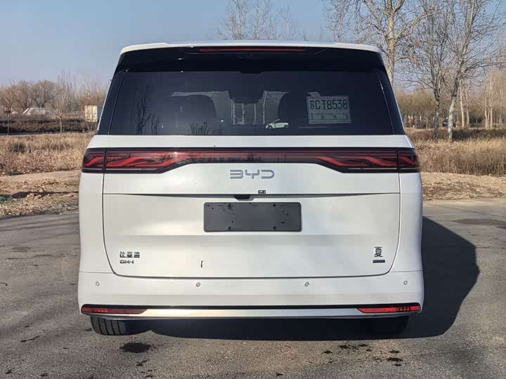 Фото 5 - BYD Xia