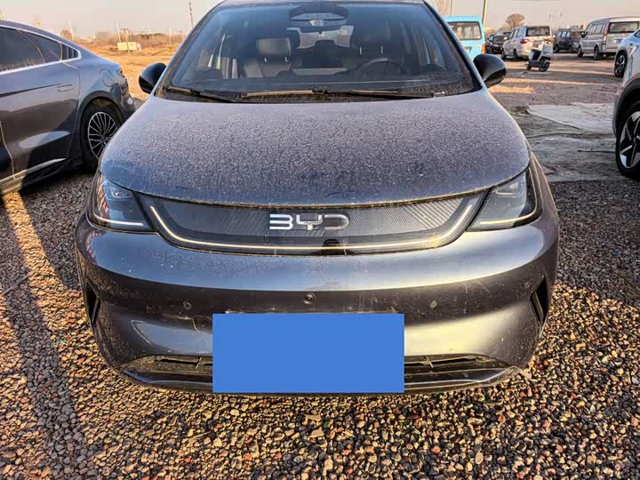 Фото 2 - BYD Dolphin