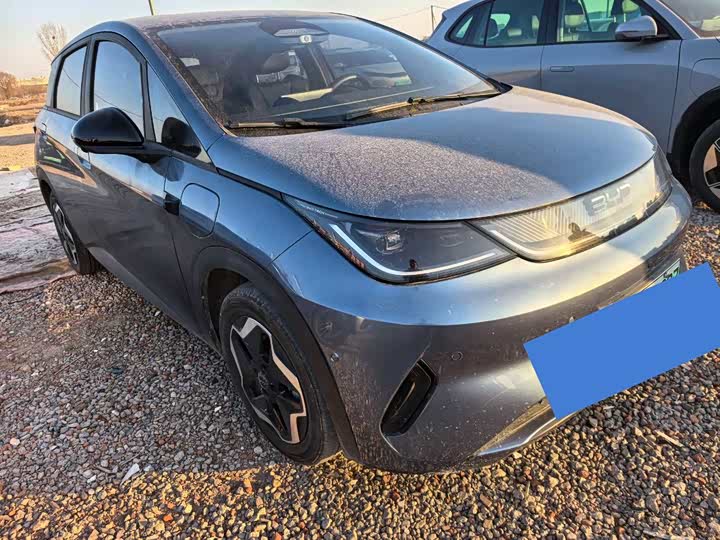 Фото 3 - BYD Dolphin