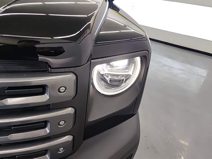 Фото 5 - Haval Raptor Hybrid