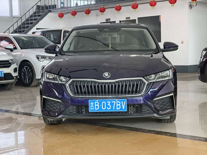 Фото 1 - Skoda Octavia Pro