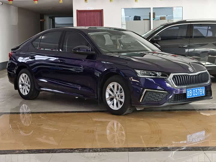 Фото 2 - Skoda Octavia Pro