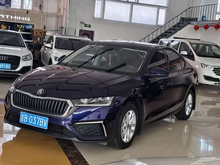 Фото 3 - Skoda Octavia Pro