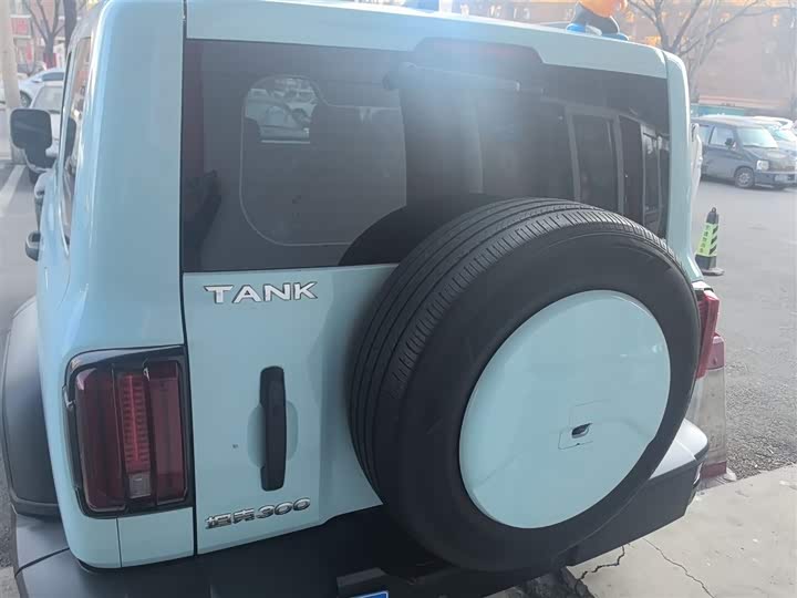 Фото 6 - Tank 300