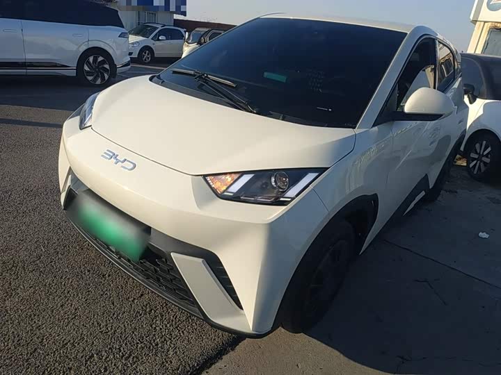 Фото 2 - BYD Seagull